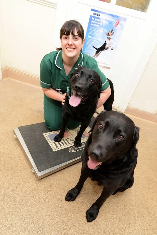 Raoul Dowding Vets, Bawtry