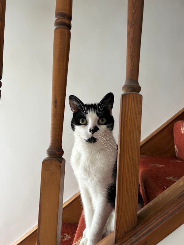 Avenue Veterinary Group - Bingley