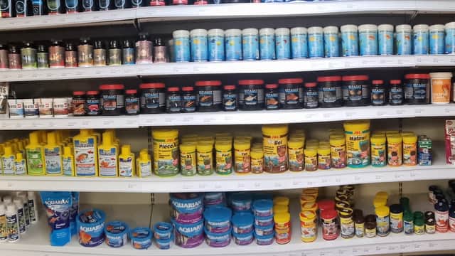 AK - Quatics - Pet Shops in rotherham