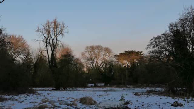 Snow-covered landscape with bare trees and a clear sky at Alne Crossroads, Yorkshire.