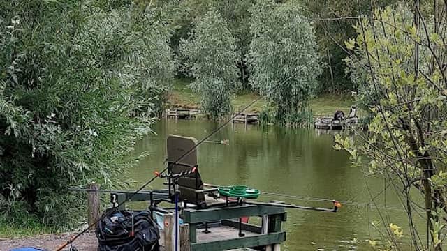 Ackton Pond and Nature Walk - Park in featherstone