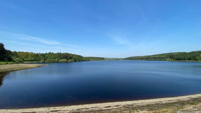 Serene reservoir surrounded by lush greenery under a clear blue sky, with calm waters reflecting the landscape.