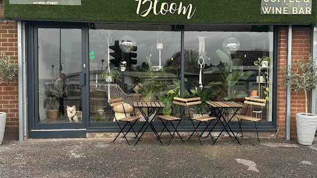 Cafe Bloom Aesthetics, Coffee & Wine Bar in maltby