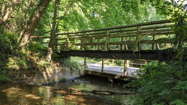 Wooden bridge over a stream, surrounded by lush greenery and trees, with a road visible in the background.