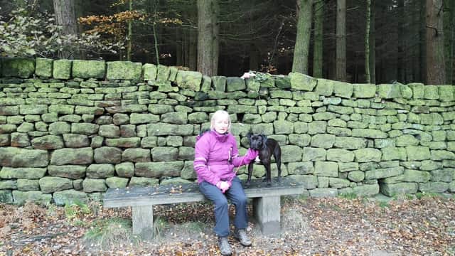 A woman in a purple jacket sits on a bench beside a dog, against a moss-covered stone wall in a forested area.
