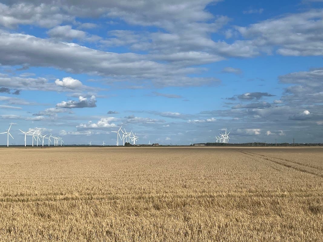 Rolling golden fields under a blue sky with scattered clouds, featuring wind turbines in the distance.