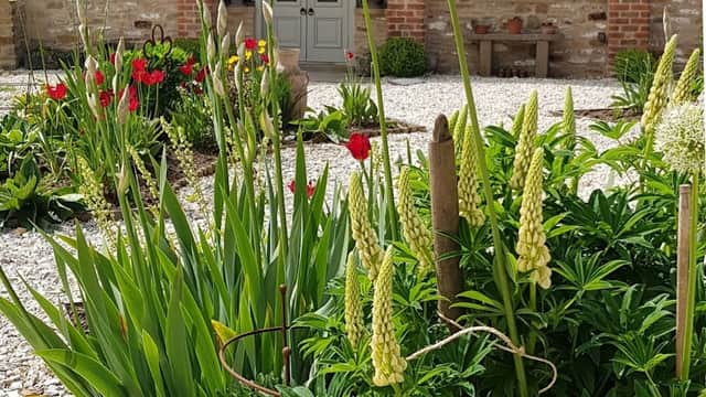 Charming cottage with stone walls, a green door, and vibrant flower beds featuring tall plants and colorful blooms.