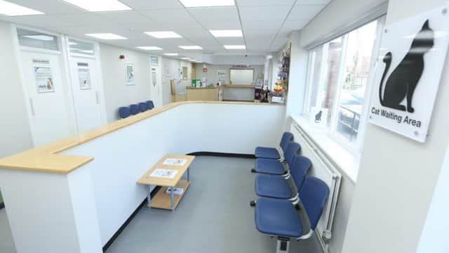 Bright waiting area with blue chairs, a wooden counter, and a sign for the cat waiting area at The Minster Veterinary Practice.