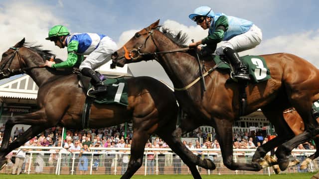Horses racing at Catterick Racecourse, with jockeys in colorful silks and a crowd watching in the background.