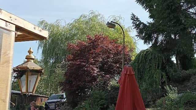Bob's Tearoom And Gardens - Tea Rooms in chiserley