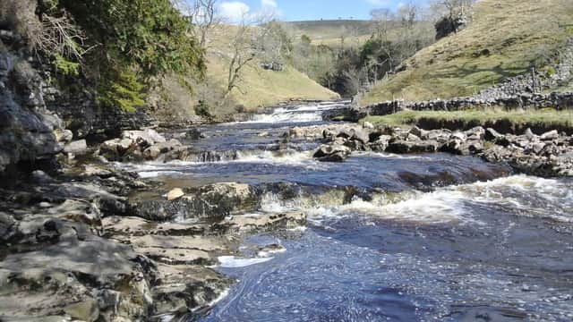 Visit Ingleton Falls, Waterfall Trail - Tour in ingleton