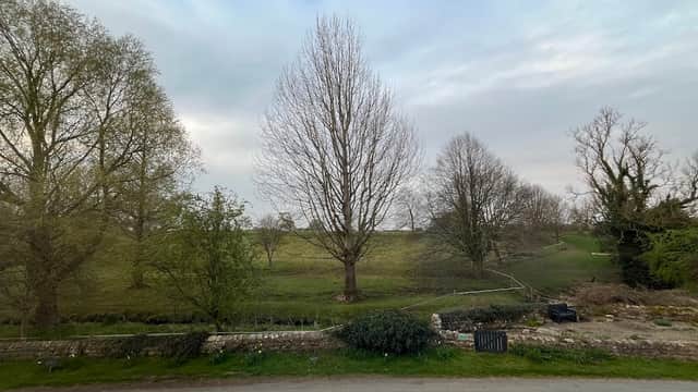 Lush green landscape with bare trees under a cloudy sky, featuring a stone wall and a small stream.
