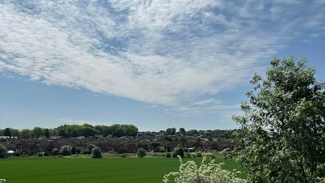 Railway Sidings - Wakefield Local Wildlife Site - Nature Reserves in normanton