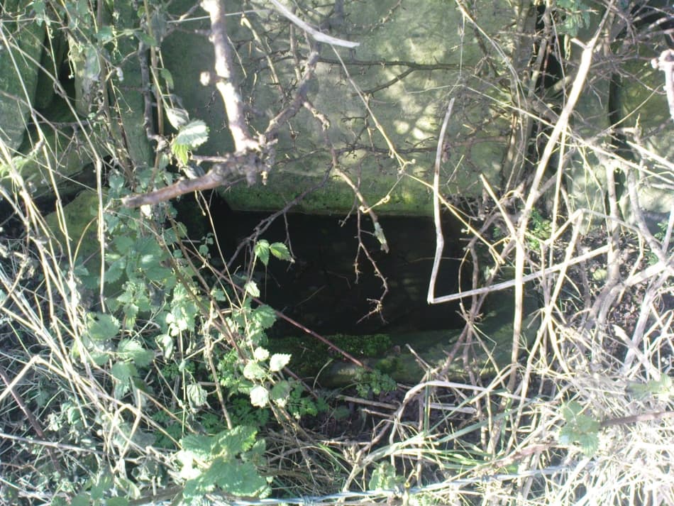 Lady Well