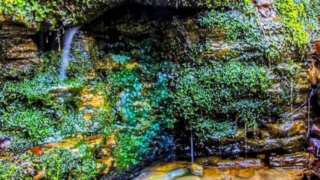 Dogs mouth spring - Historic Site in moortown