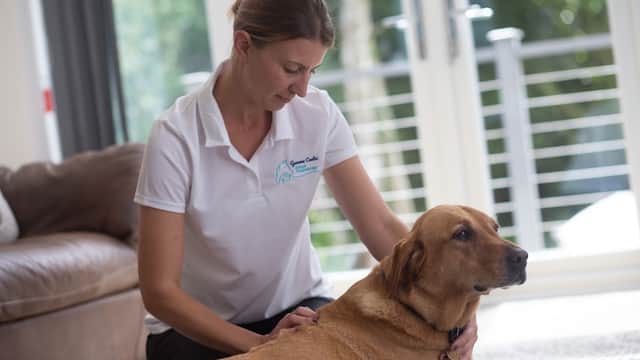 G Coates Animal Physiotherapy - Sports Injury Clinics in brough