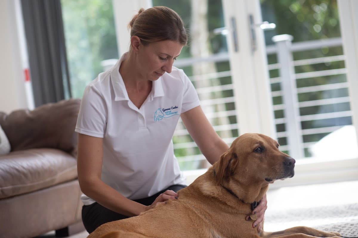 G Coates Animal Physiotherapy
