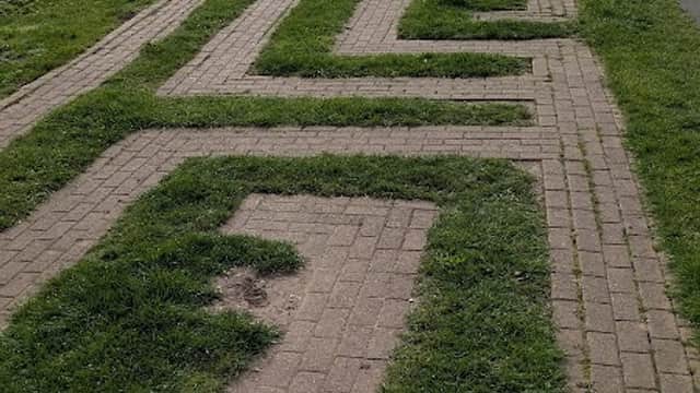 Filey Maze - Attraction in filey