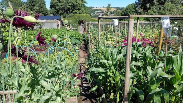 Northcliffe Allotments - Bottom site - Park in shipley