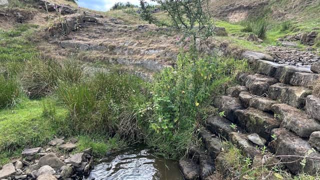 A grassy area with a small stream, stone steps, and a tree near the Park Dike Weir in Upper Cumberworth, Yorkshire.