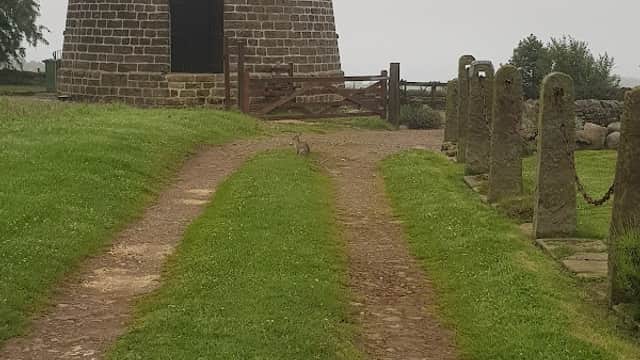 A gravel path leads to a stone cottage with a tower, surrounded by green grass and stone posts.