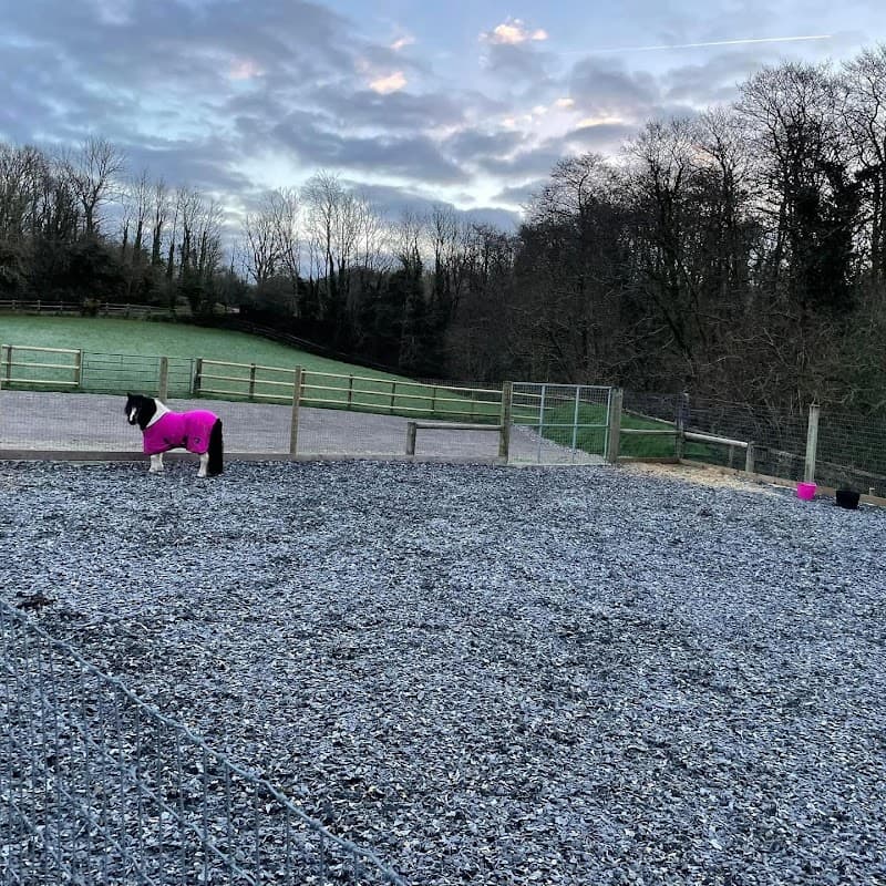Foleys Equestrian Ltd