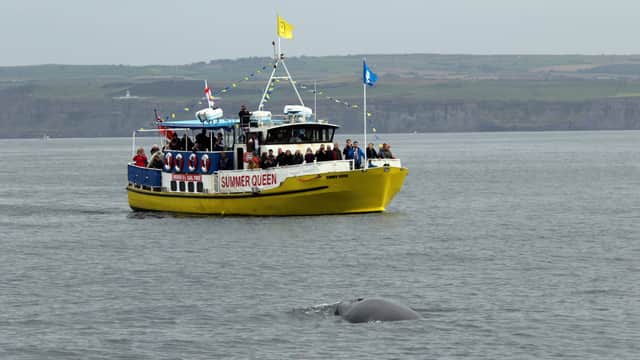 Whitby Coastal Cruises - Activity in whitby
