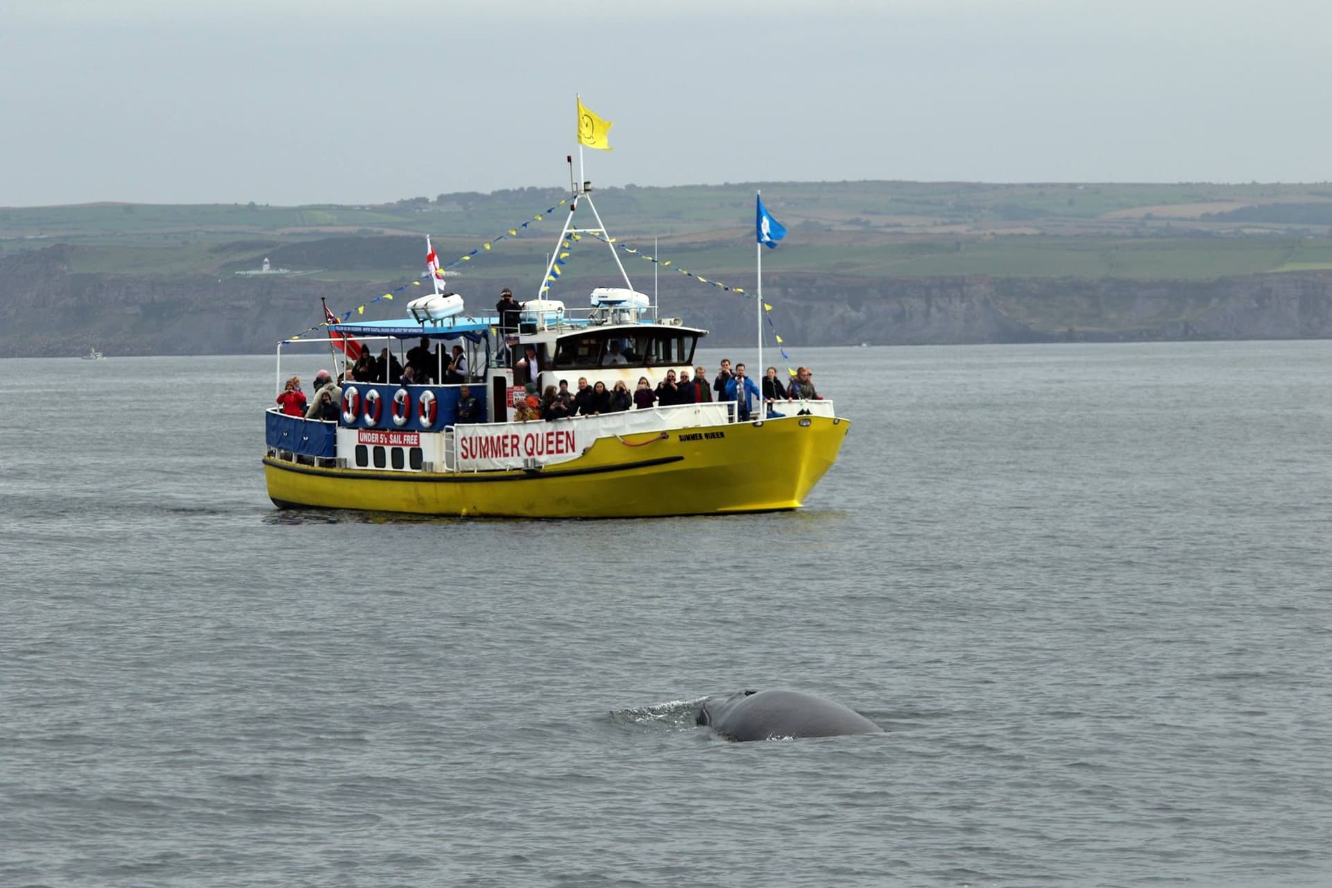 Whitby Coastal Cruises