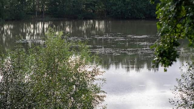 Calm water reflecting clouds, surrounded by lush greenery and distant industrial structures at Barlow Common Nature Reserve.