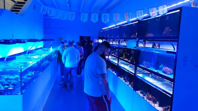 Yorkshire Reefs - Pet Shops in malton