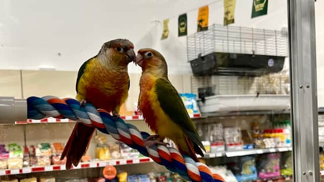 Yorkshire Feed & Country Store - Pet Shops in thirsk