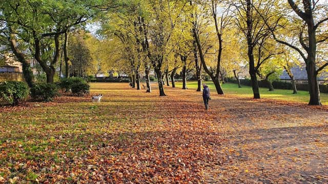 Earlsheaton Park - Park in dewsbury