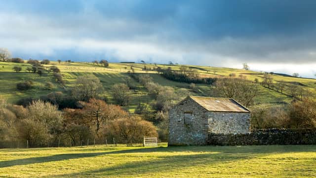 Stone shed on grassy field with rolling hills and trees under a cloudy sky in Yorkshire Dales National Park.