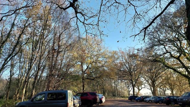 Car park surrounded by trees, with several parked cars and a clear blue sky above.