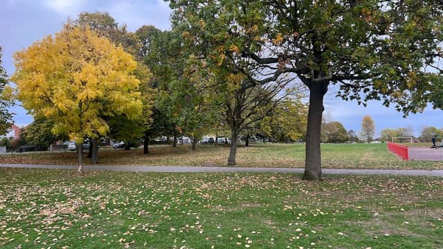 Sandall Park Playground - Park in doncaster