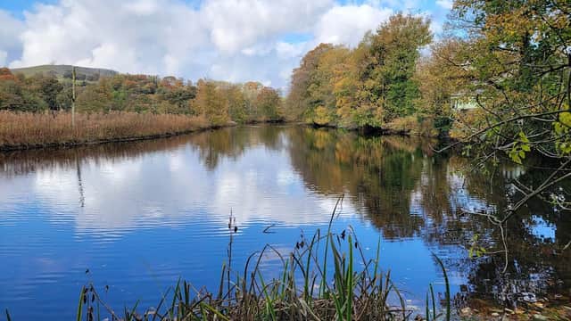 Serene river scene in Settle, Yorkshire, with autumn trees reflecting on calm water under a blue sky.