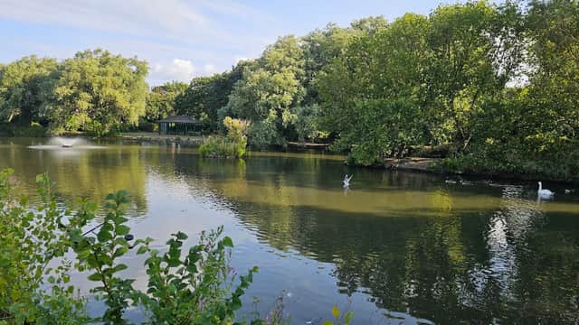 Serene lake surrounded by lush greenery, with swans gliding and a gazebo in the distance under a clear blue sky.