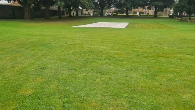 Green cricket field with a white pitch cover and large trees in the background.