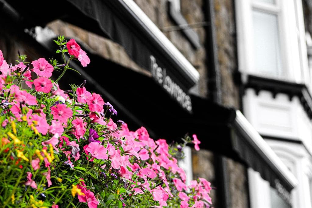 The Lawrance Luxury Aparthotel - Harrogate