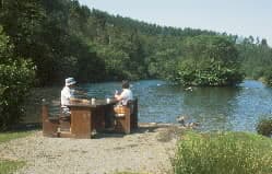 Low Staindale at Dalby Forest