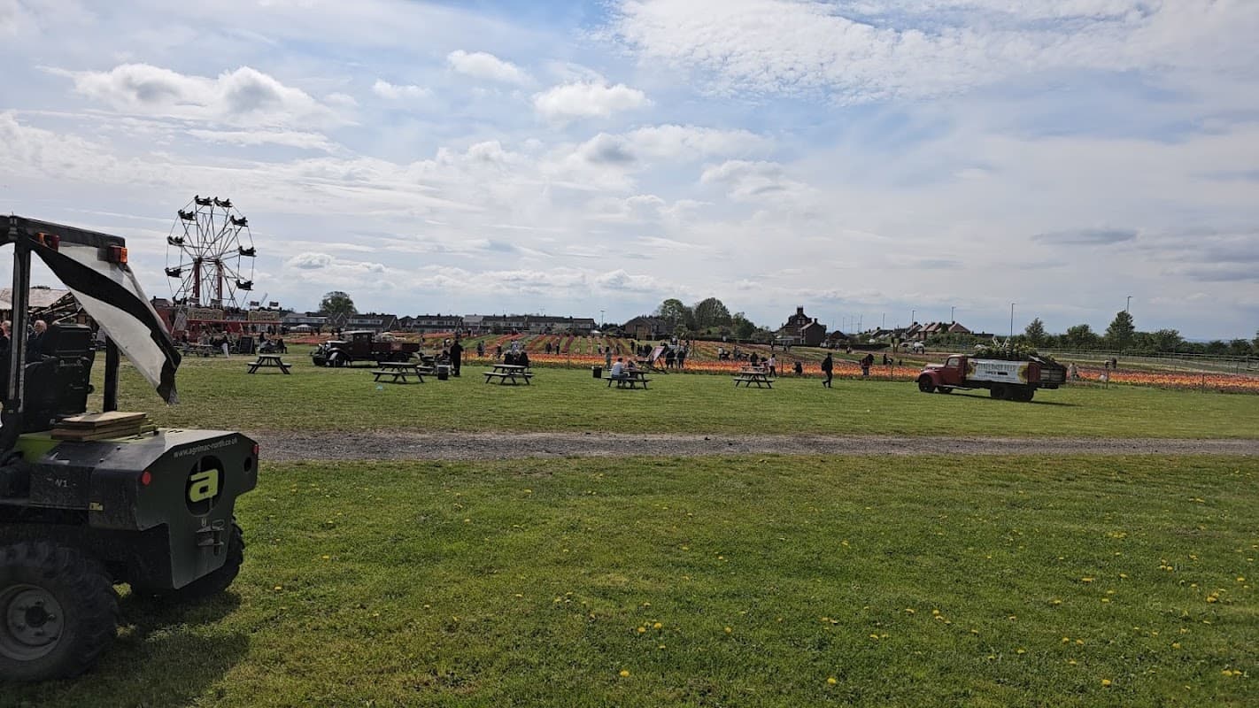 Farmer Copley's Parking lot with picnic tables, a ferris wheel, and an orange field under a cloudy sky in Featherstone.