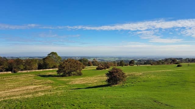 Lush green fields with scattered trees under a clear blue sky at Richmond Racecourse Grandstand.