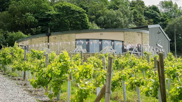 Holmfirth Vineyard - Vineyard in holmbridge