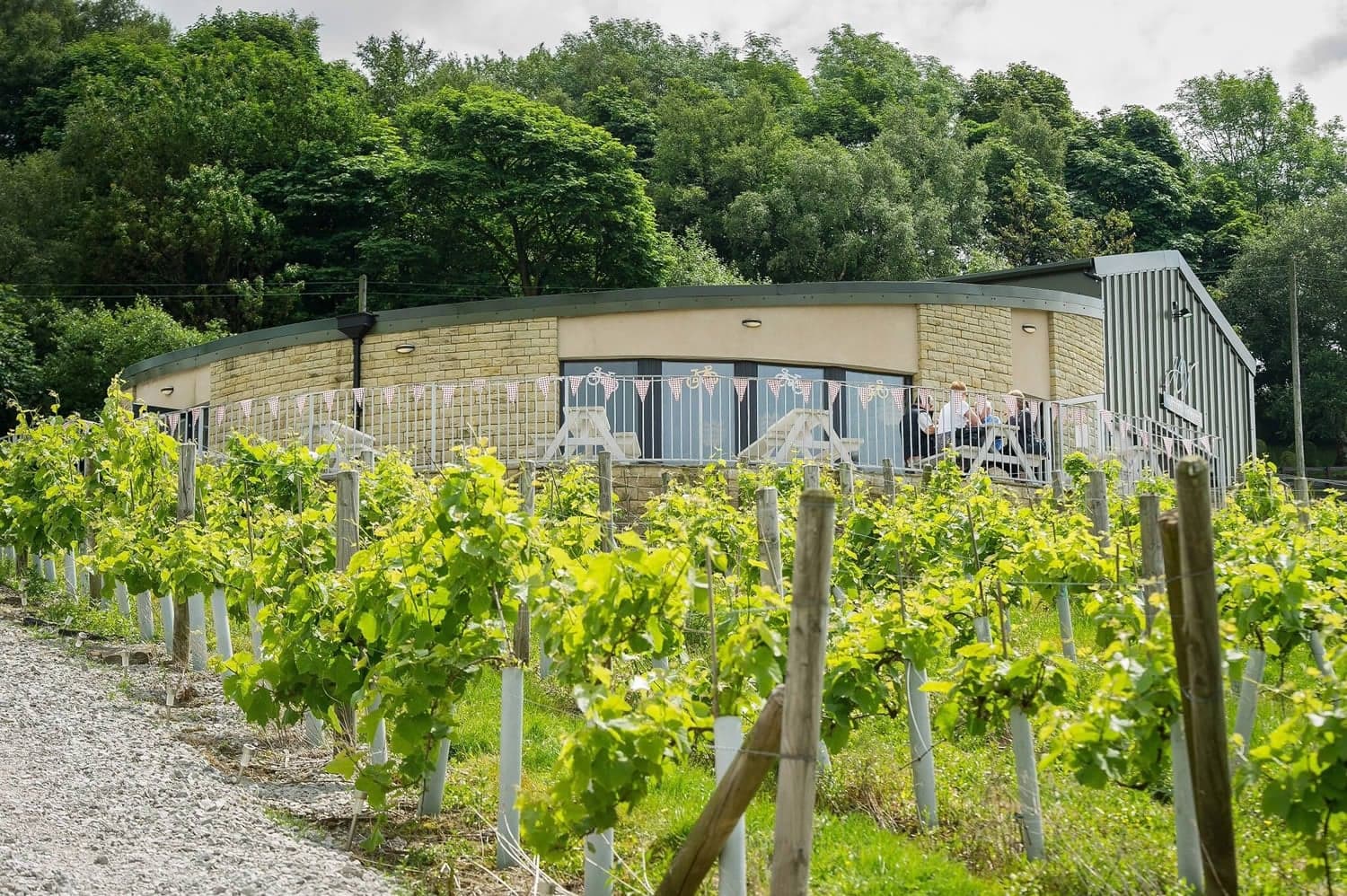 Holmfirth Vineyard
