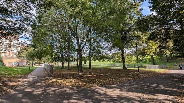 Ponderosa Playground - Playgrounds in neepsend