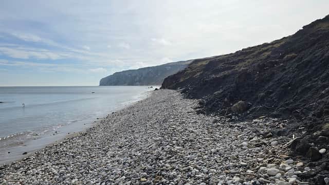 Speeton Beach - Attraction in speeton