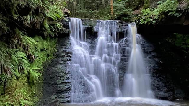 Water cascading over rocky ledges into a tranquil pool, surrounded by lush greenery and trees.
