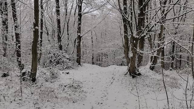 Pot House Wood - Park in bolsterstone ewden village