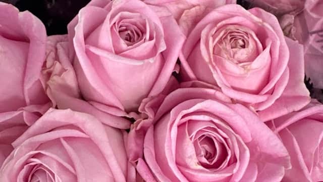 Marilliam Flowers Ltd - Florists in huddersfield