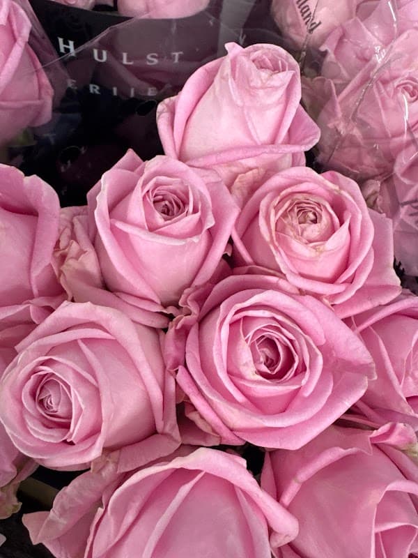 Marilliam Flowers Ltd